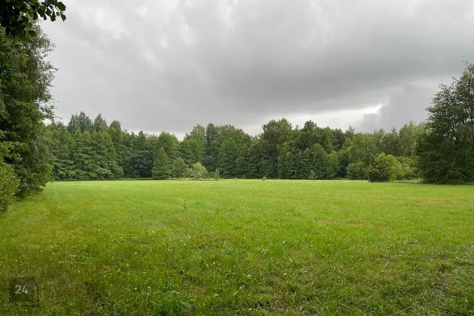 Maatulundusmaa, 47800 m² участок в Saaremaa vald, Metsara küla - фото 4