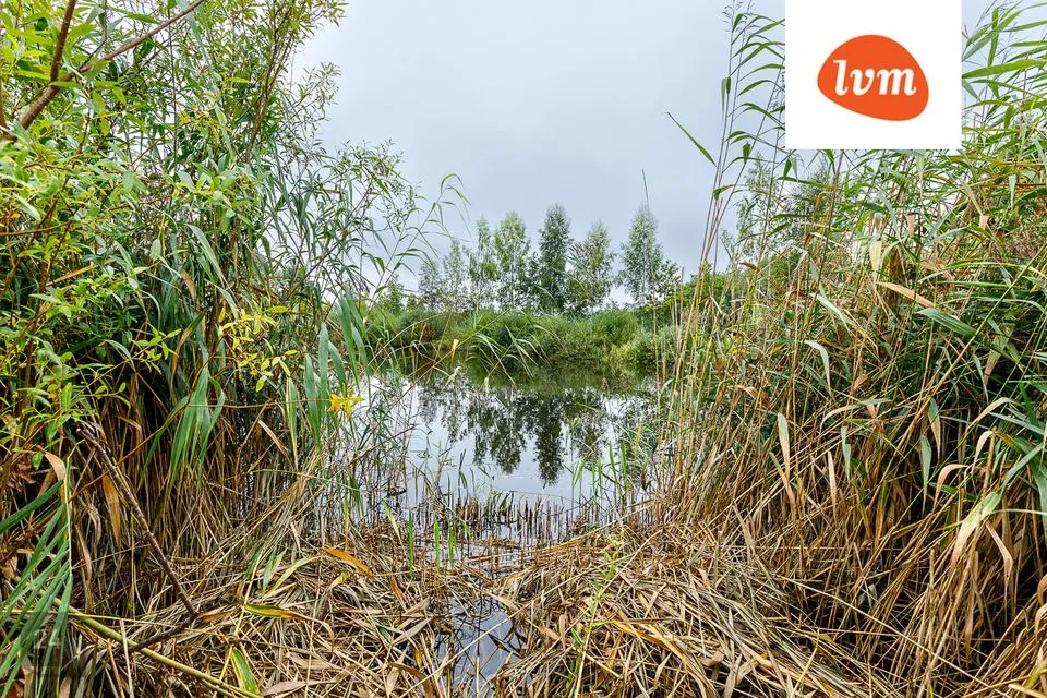 Elamumaa, 11390 m² Maa  -  Tartu linn, Tüki küla - foto 5