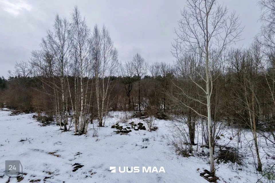 Земля социального назначения - земля общего назначения, 6146 m² участок в Saue vald, Alliku küla - фото 2