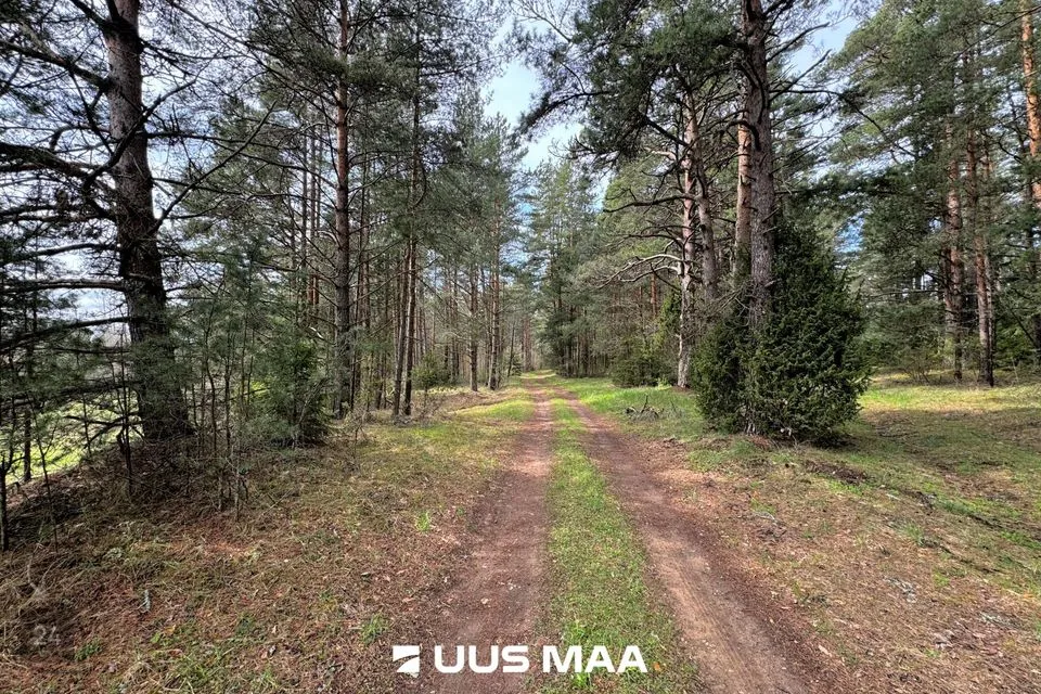 Tootmismaa, 2999 m² Maa - Viru-Nigula vald, Pärna küla