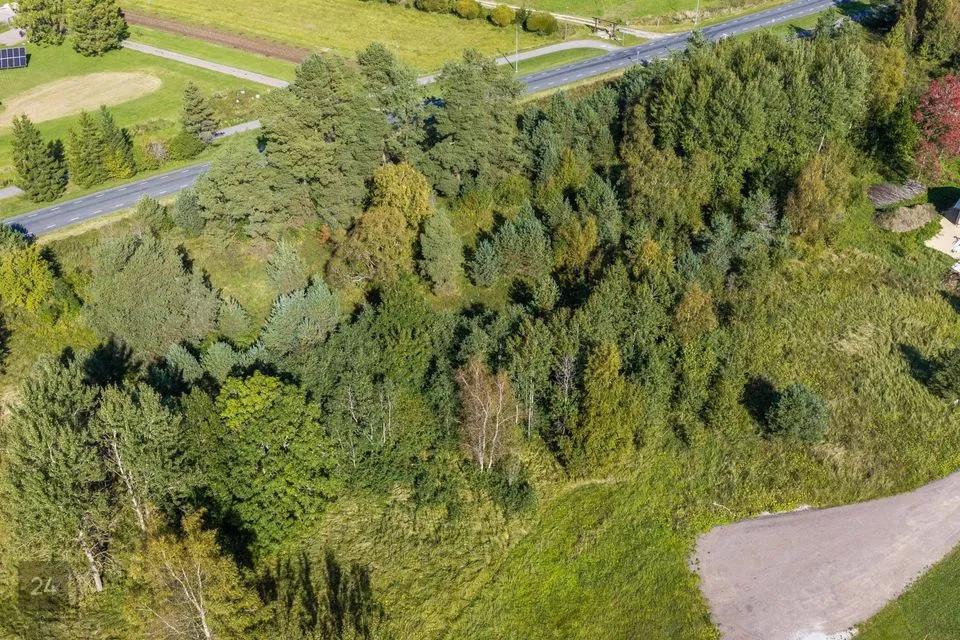 Elamumaa, 4035 m² Maa - Saue vald, Jõgisoo küla - foto 3