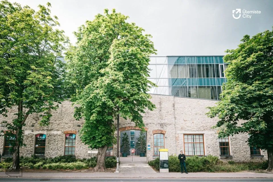 Büroo, 248 m² Äripind - Tallinn, Lasnamäe linnaosa - foto 3