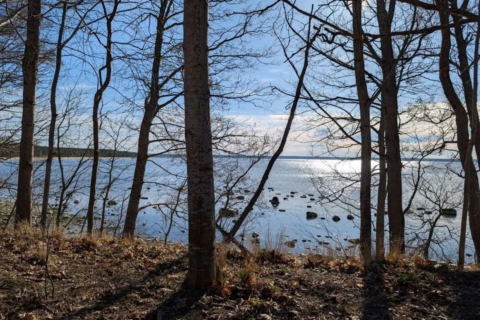 Elamumaa, 4983 m² Maa  -  Kuusalu vald, Suurpea küla - foto 3