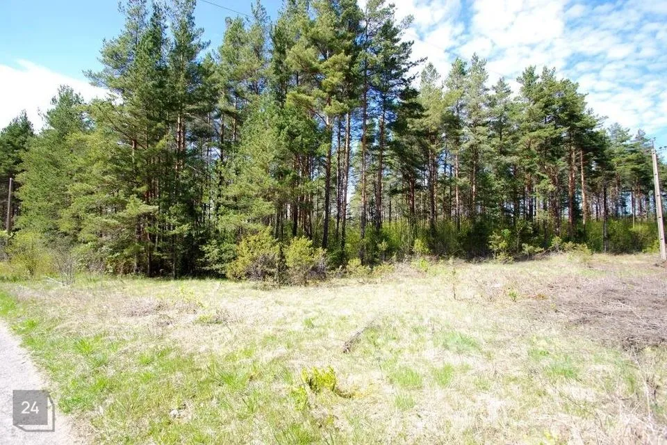 Земля жилой застройки, 54100 m² участок в Lääne-Nigula vald, Saunja küla - фото 5