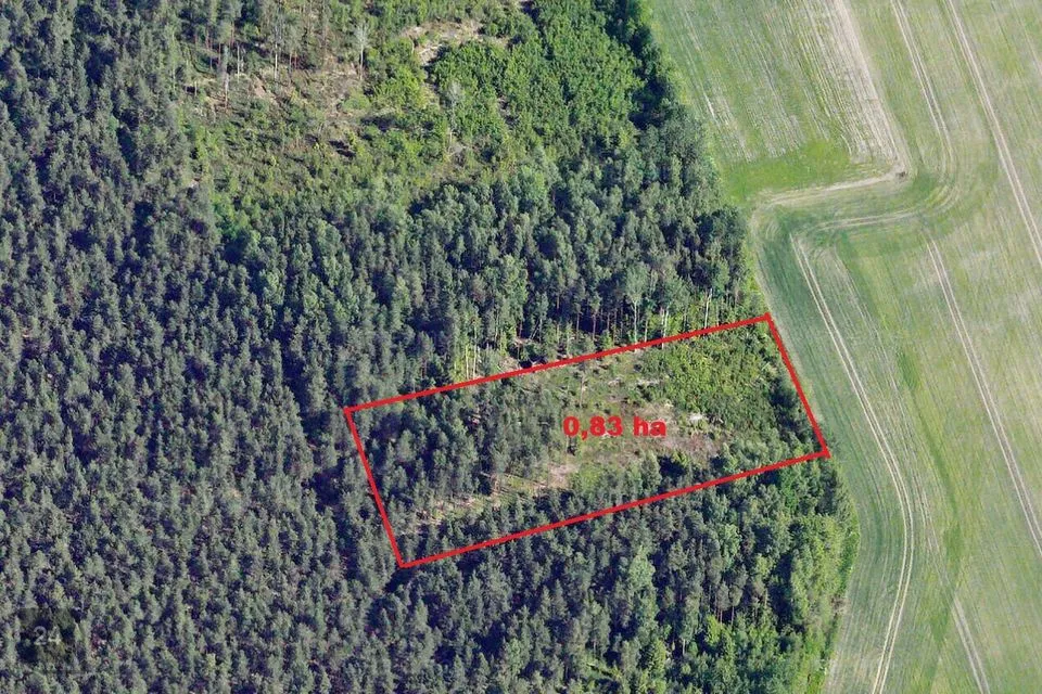 Maatulundusmaa, 8303 m² Maa - Tori vald, Võlli küla - foto 2