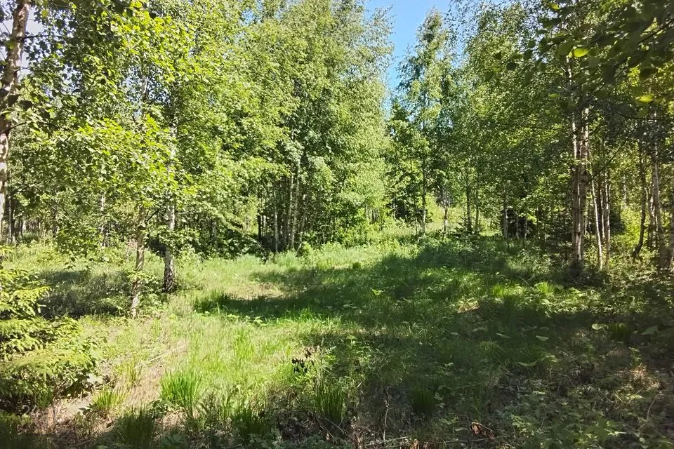 1-toaline Suvila  -  Hiiumaa vald, Kalana küla - foto 4