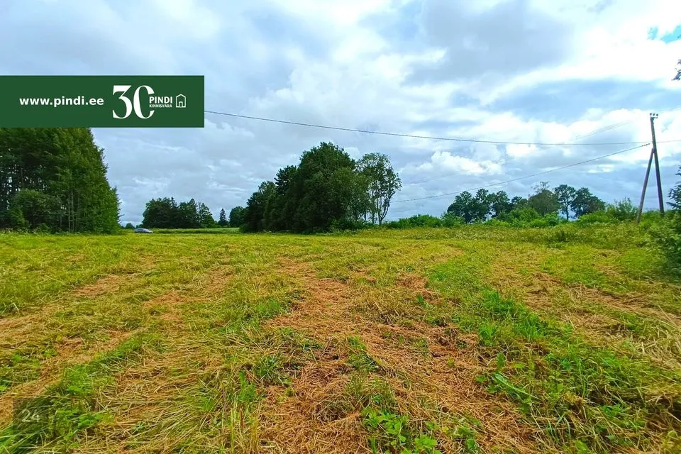 Maatulundusmaa, 7790 m² Maa - Rakvere vald, Raudvere küla