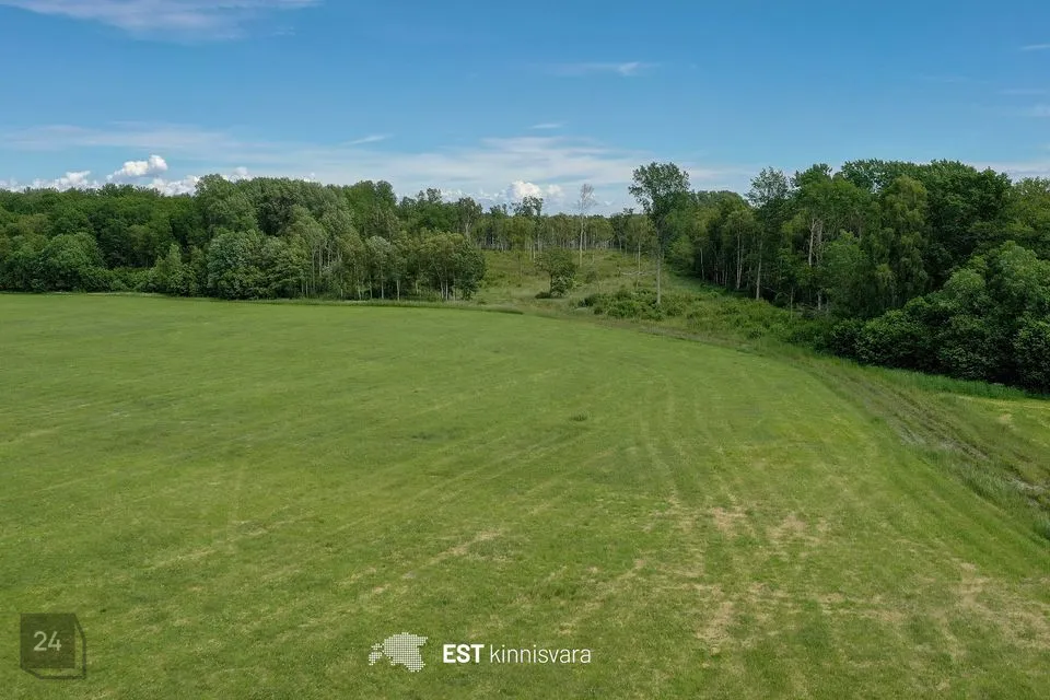 73294 m² Maa - Saaremaa vald, Audla küla - foto 5