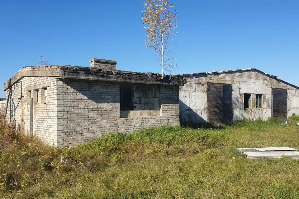 Tootmine, 12313 m² Äripind  -  Jõgeva vald, Teilma küla - foto 4