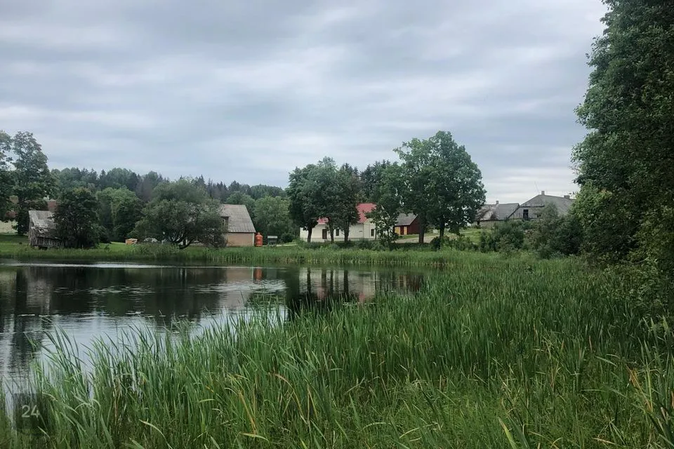 Elamumaa, 4599 m² Maa  -  Rõuge vald, Ruusmäe küla - foto 4