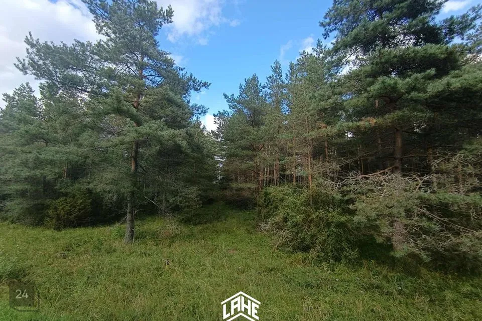 Maatulundusmaa, 21306 m² участок в Lääne-Harju vald, Keelva küla - фото 2