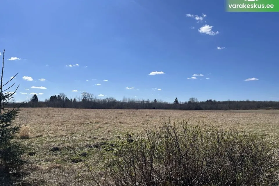 Maatulundusmaa, 53203 m² Maa - Rae vald, Pajupea küla - foto 3