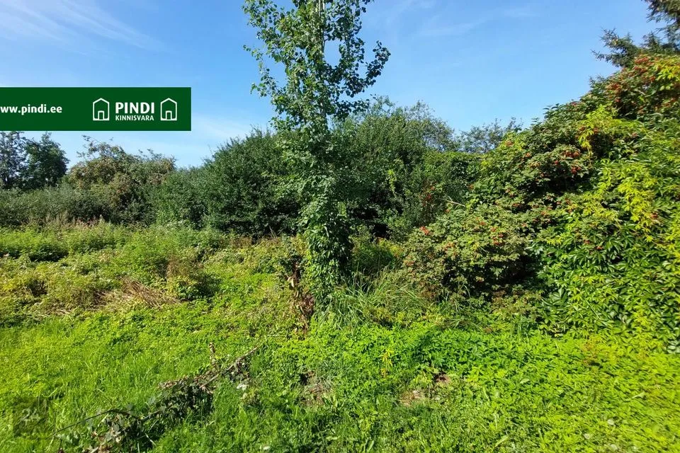 4-toaline Suvila  -  Kohtla-Järve linn, Järve linnaosa - foto 5