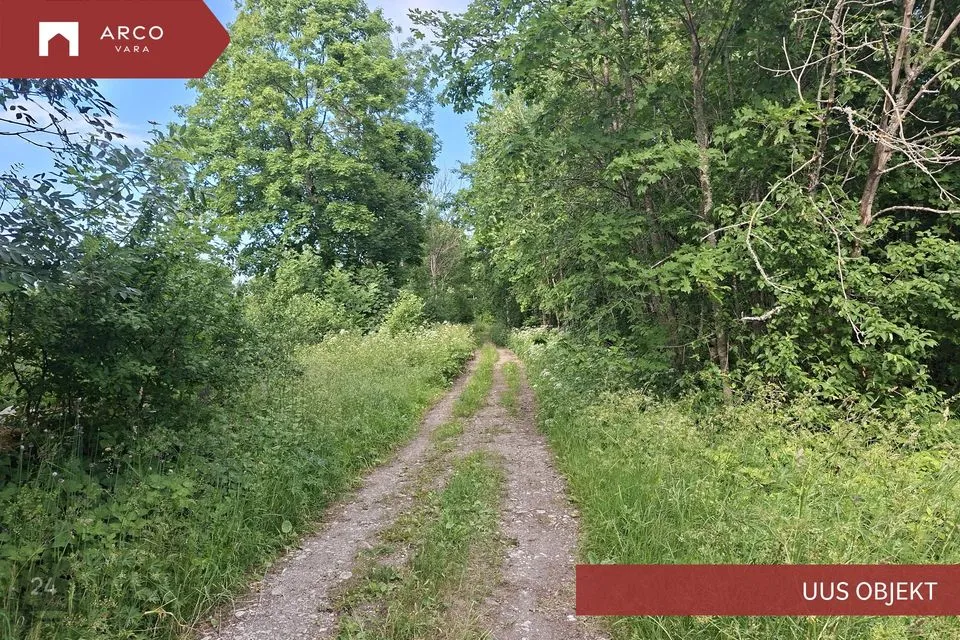Maatulundusmaa, 28997 m² Maa  -  Muhu vald, Lehtmetsa küla - foto 2
