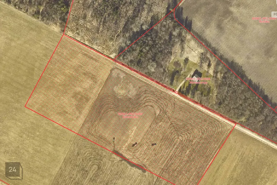 Maatulundusmaa, 47500 m² Maa  -  Tori vald, Oore küla