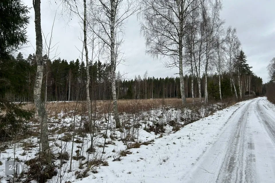 Maatulundusmaa, 19415 m² Maa  -  Mustvee vald, Separa küla - foto 5
