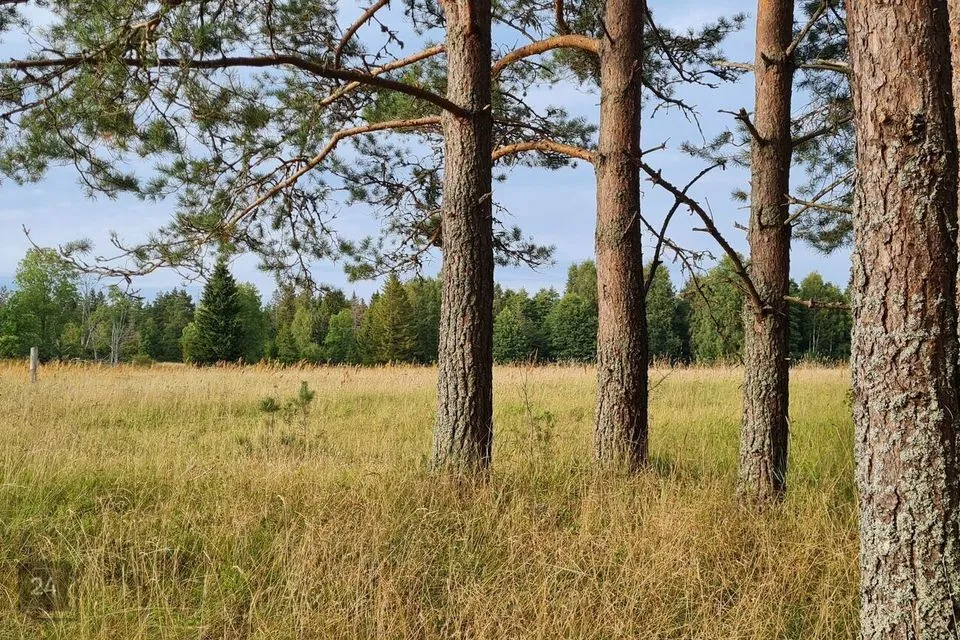 Elamumaa, 21784 m² Maa  -  Hiiumaa vald, Mägipe küla - foto 2