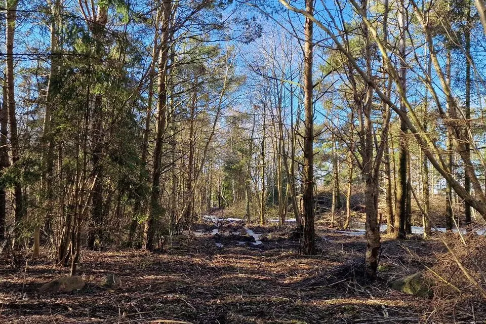 Maatulundusmaa, 3355 m² Maa  -  Saaremaa vald, Kotlandi küla