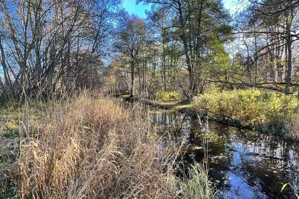 Elamumaa või Ärimaa, 10183 m² Maa - Kuusalu vald, Valkla küla - foto 2