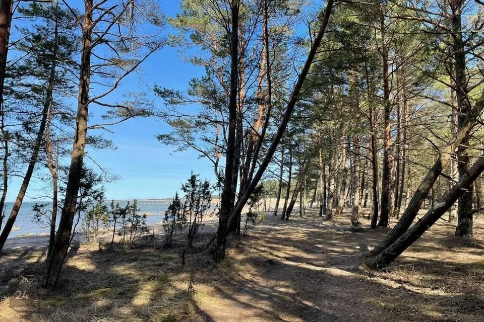 Elamumaa, 12514 m² Maa - Saaremaa vald, Murika küla - foto 4