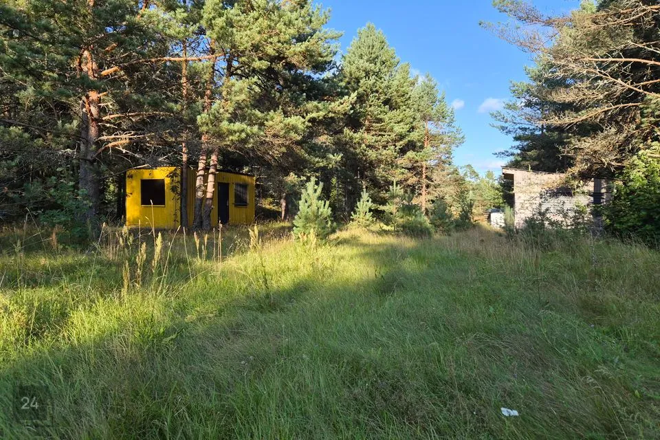 Земля жилой застройки, 14168 m² участок в Lääne-Nigula vald, Variku küla - фото 5