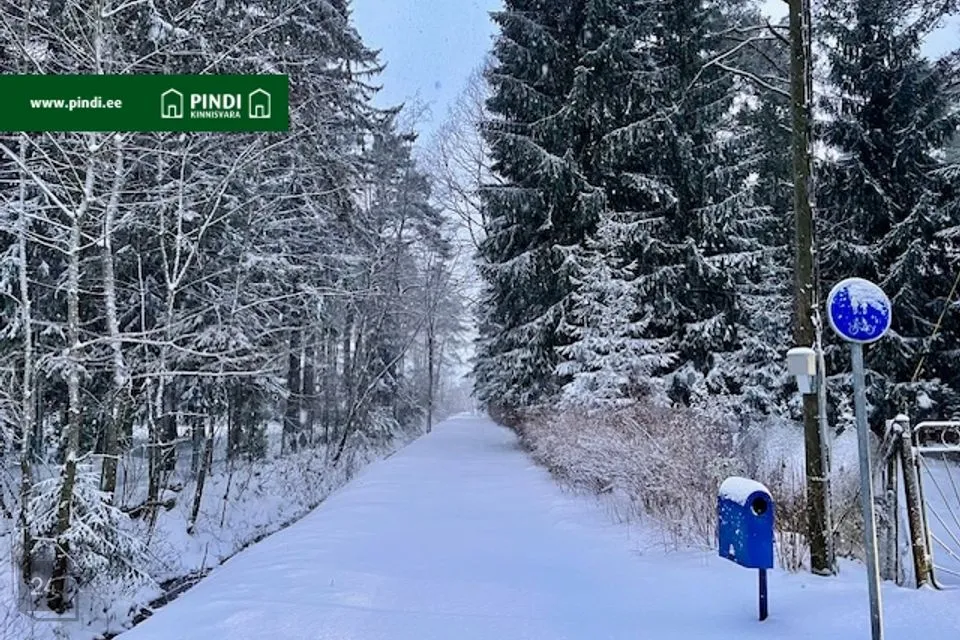Земля жилой застройки, 4715 m² участок в Narva-Jõesuu linn, Narva-Jõesuu linn - фото 5