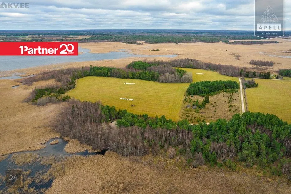 Maatulundusmaa, 114871 m² Maa - Lääne-Nigula vald, Saare küla / Lyckholm - foto 4