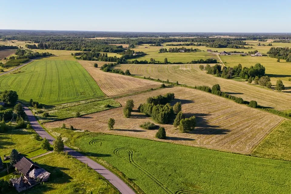 Maatulundusmaa, 286800 m² Maa  -  Raasiku vald, Mallavere küla - foto 3