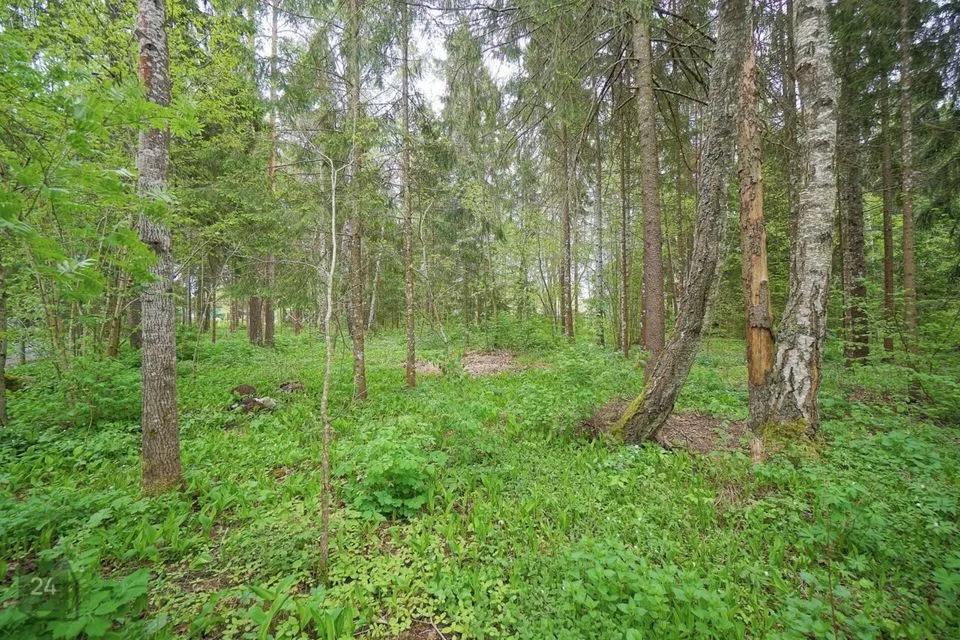 Земля социального назначения - земля общего назначения, 3007 m² участок в Kohila vald, Aespa alevik - фото 5
