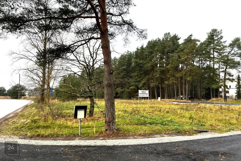 Elamumaa, 1129 m² Maa  -  Tallinn, Haabersti linnaosa