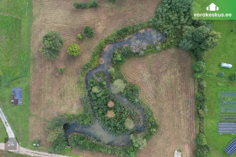 Maatulundusmaa, 15011 m² участок в Rapla vald, Ülejõe küla