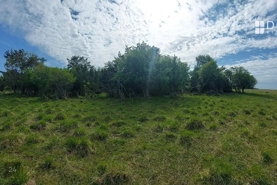 Sihtotstarbeta maa, 96673 m² Maa  -  Saaremaa vald, Pammana küla - foto 3