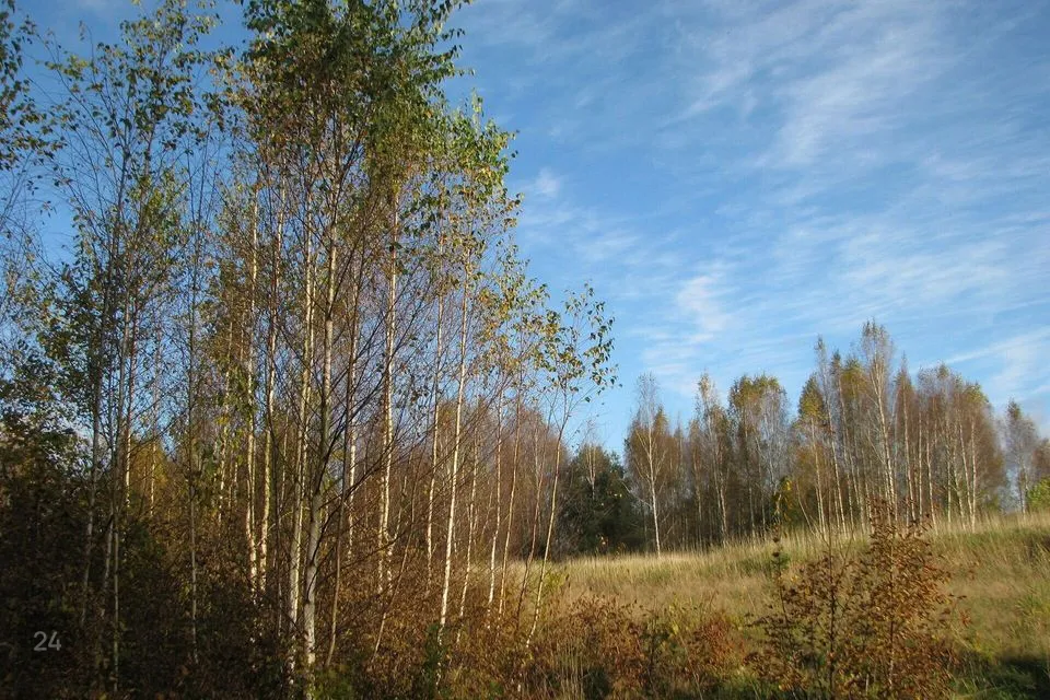 Maatulundusmaa, 34870 m² Maa - Tori vald, Taali küla - foto 4