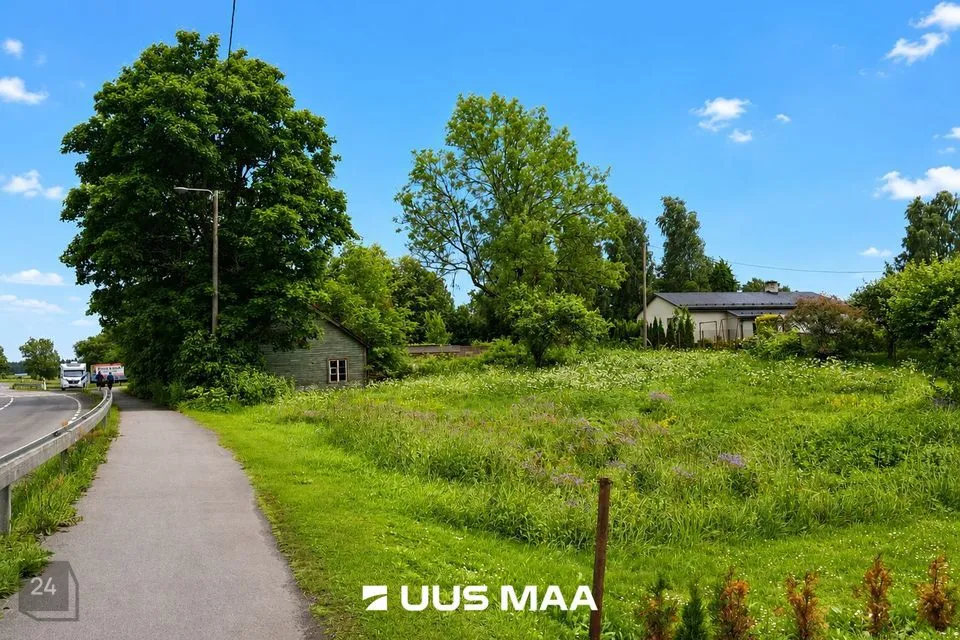 Elamumaa, 1995 m² Maa - Järva vald, Aravete alevik - foto 2