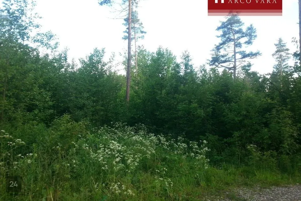 Elamumaa, 1115 m² Maa  -  Rapla vald, Pirgu küla