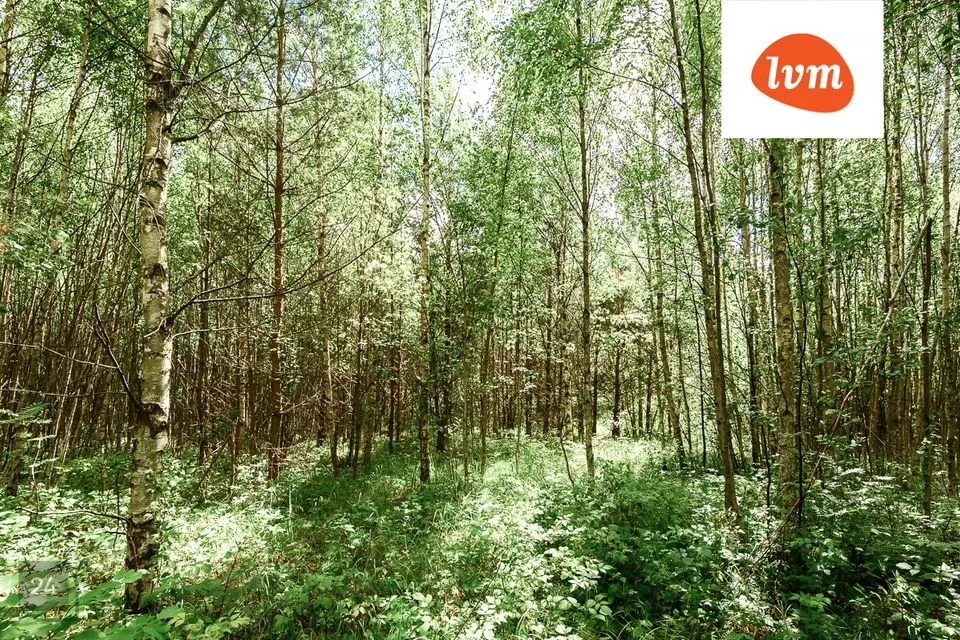 Elamumaa, 4991 m² Maa - Saaremaa vald, Mändjala - foto 2