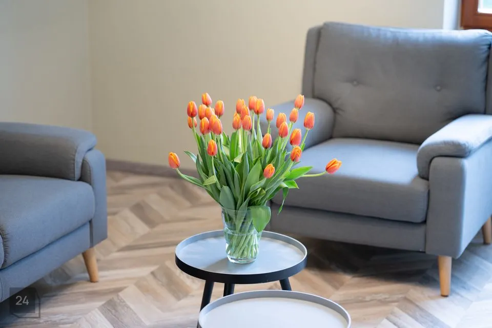 2-toaline Korter - Tallinn, Pirita linnaosa