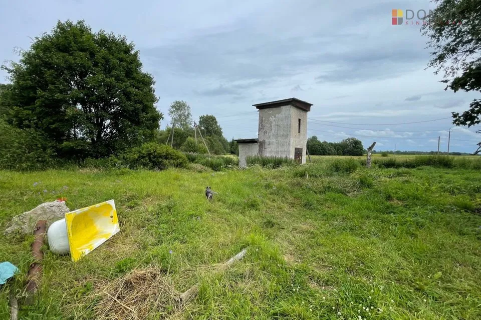 Tootmismaa, 26860 m² Maa - Tapa vald, Läste küla - foto 4