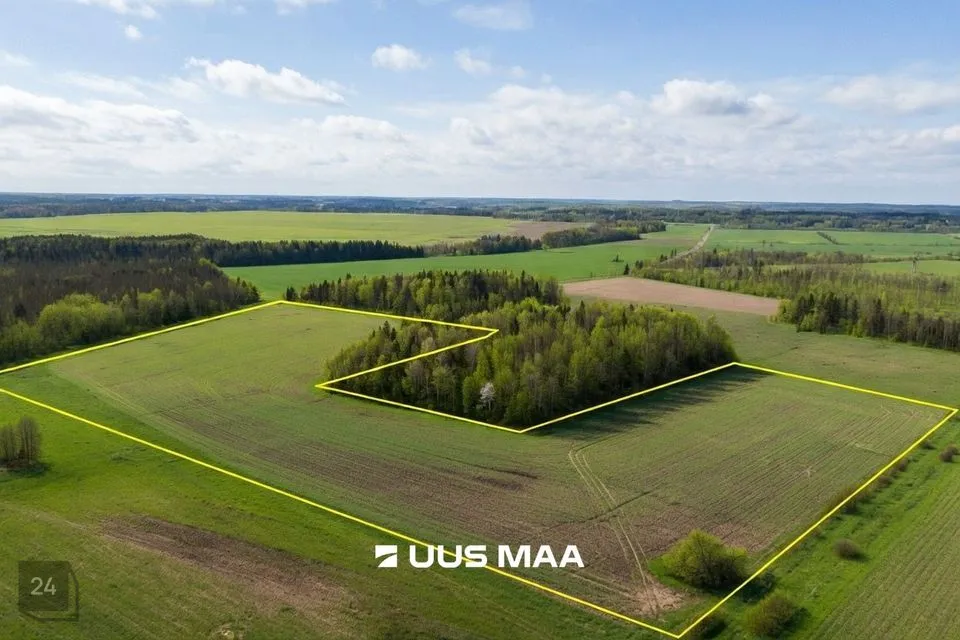 Maatulundusmaa, 101708 m² Maa  -  Saue vald, Lehetu küla
