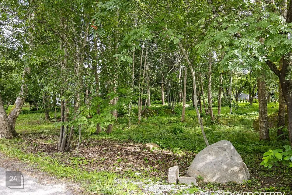 Elamumaa, 1204 m² Maa  -  Viimsi vald, Randvere küla - foto 2