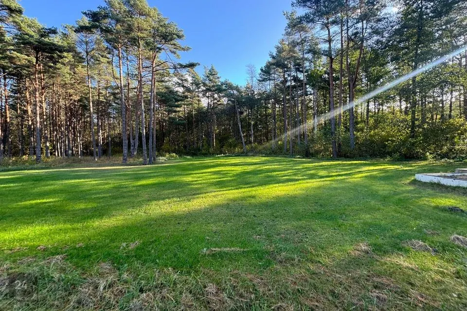 Maatulundusmaa, 5502 m² Maa - Saaremaa vald, Mändjala küla - foto 4