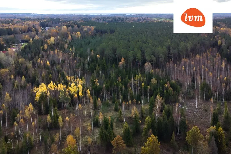 Maatulundusmaa, 69000 m² участок в Pärnu linn, Kihlepa küla - фото 2
