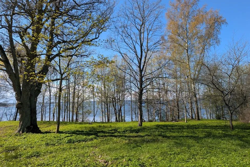Elamumaa, 4983 m² Maa  -  Kuusalu vald, Suurpea küla - foto 2