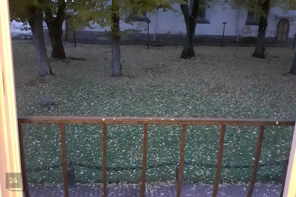 2-комнатная Квартира в Rakvere linn - фото 3