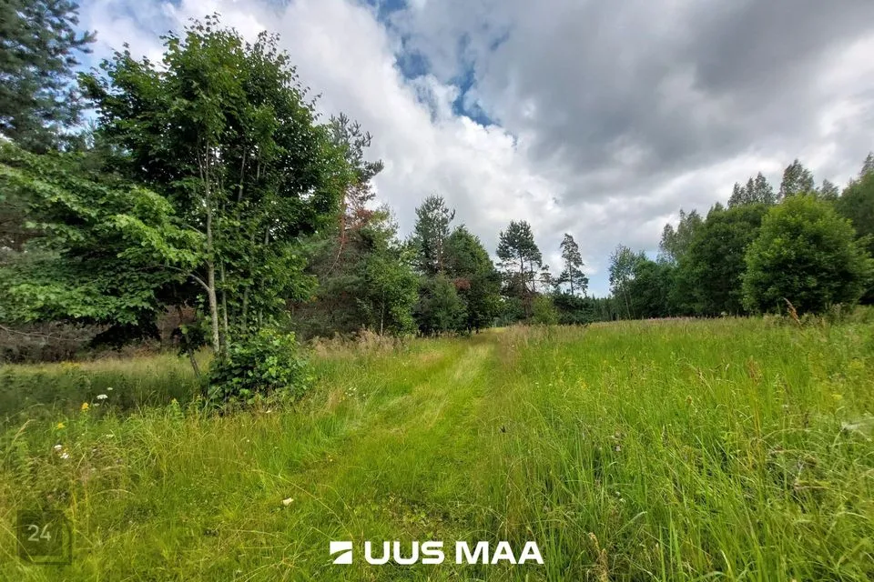 Maatulundusmaa, 40636 m² Maa  -  Saarde vald, Kanaküla - foto 3