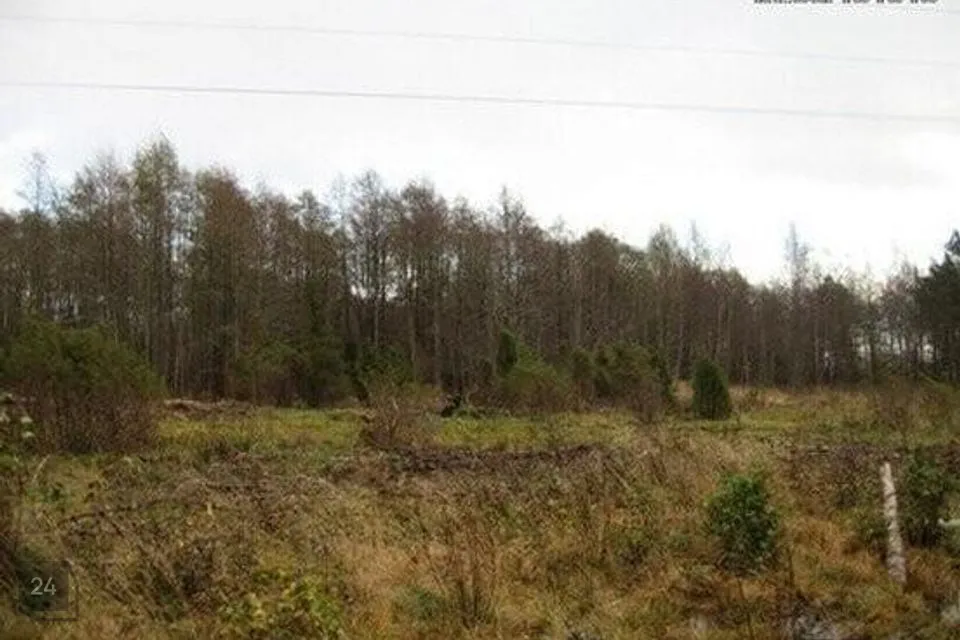 Elamumaa, 7439 m² Maa  -  Hiiumaa vald, Luguse küla - foto 3