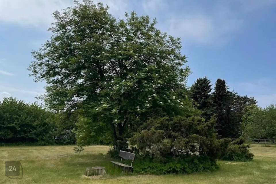 Elamumaa, 11126 m² Maa - Saaremaa vald, Salme alevik - foto 2