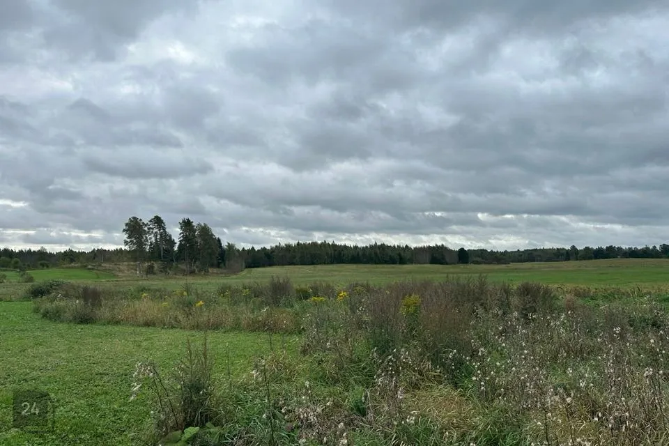 Elamumaa, 1743 m² Maa - Nõo vald, Uuta küla