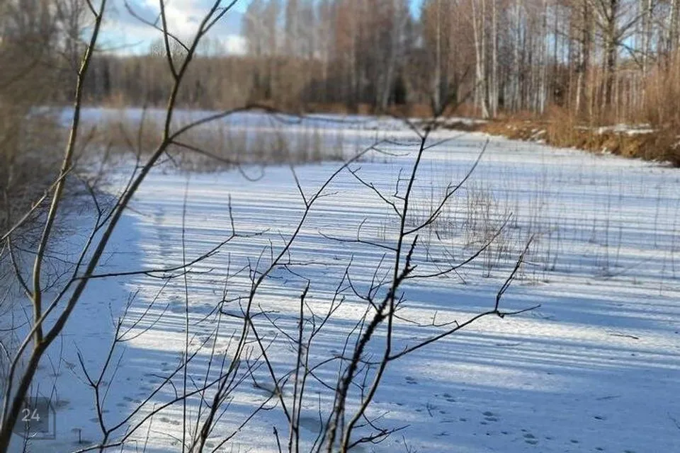 Maatulundusmaa, 14986 m² Maa - Räpina vald, Parapalu küla - foto 4