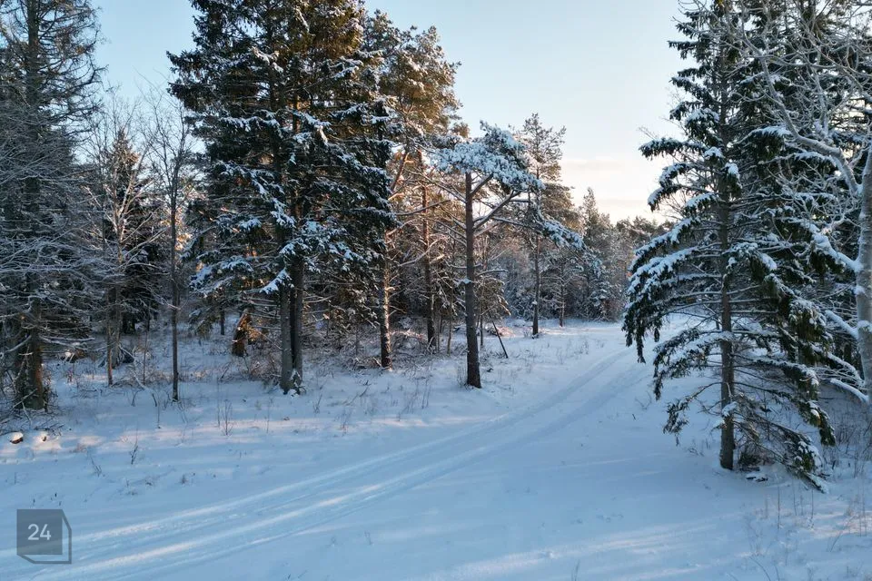 Elamumaa, 5001 m² Maa  -  Lääne-Harju vald, Meremõisa küla - foto 3
